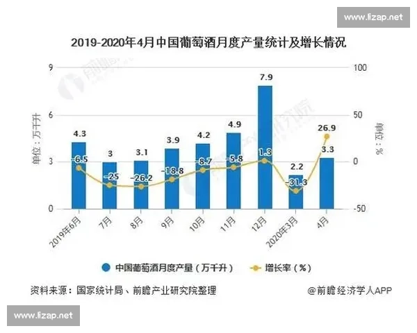 门线技术在现代足球中的应用与发展趋势分析